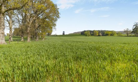 2 Bed in Hay-on-wye 4