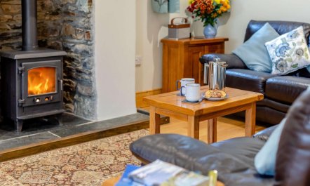 3 Bed in Kingsbridge 3