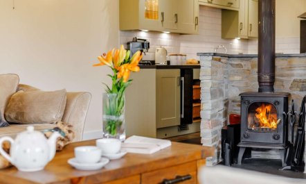 4 Bed in Bideford 2