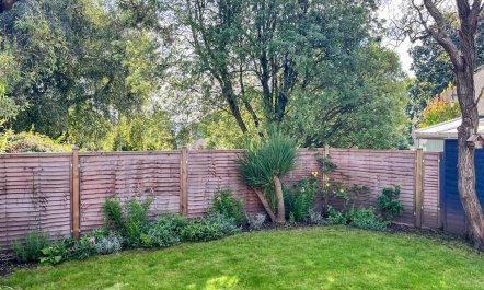 3 Bed in Axminster 2