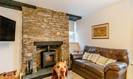 4 Bed in Cardigan 5
