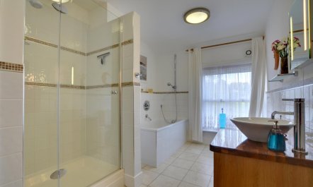 4 Bed in Netherfield 7