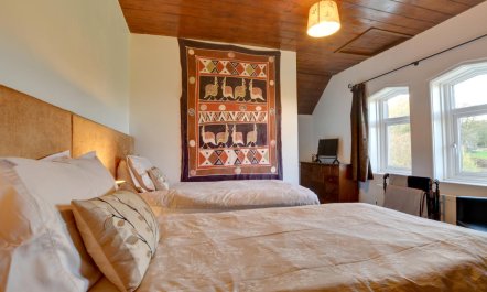 4 Bed in Netherfield 8