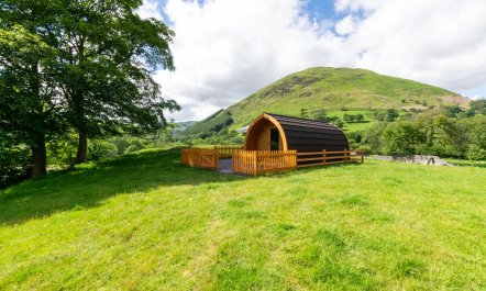 1 Bed in Dinas Mawddwy 1