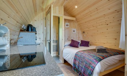 1 Bed in Dinas Mawddwy 7