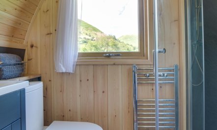 1 Bed in Dinas Mawddwy 9