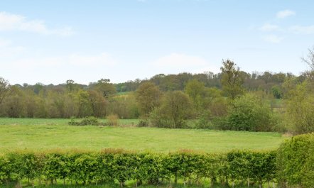 2 Bed in Goudhurst 9