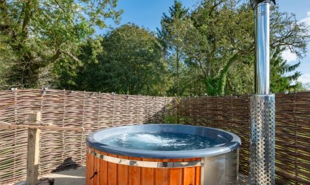 5 Bed in Cowlinge 6