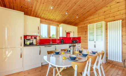 3 Bed in Buckland St. Mary 6