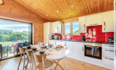 3 Bed in Buckland St. Mary 2