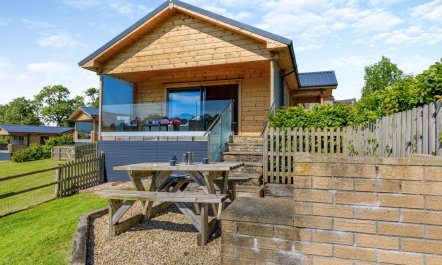 3 Bed in Buckland St. Mary 4