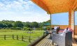 3 Bed in Buckland St. Mary 0