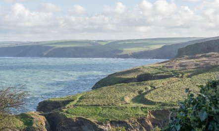2 Bed in Port Isaac 5