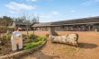 2 Bed in Hastingleigh 4