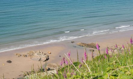 2 Bed in Whitsand Bay 4