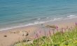 2 Bed in Whitsand Bay 4