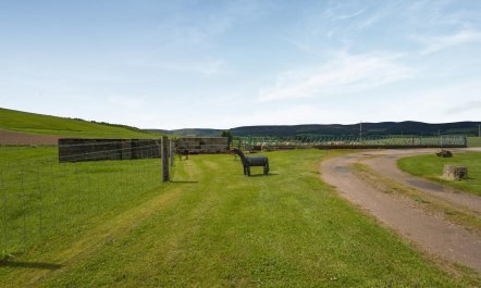 2 Bed in Lumsden 9