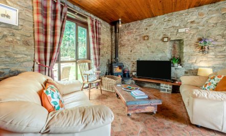 2 Bed in Llanddarog 7
