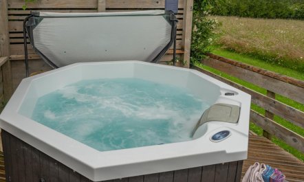 1 Bed in Whitchurch Canonicorum 2