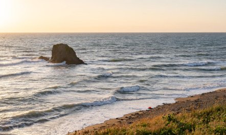 4 Bed in Widemouth Bay 8