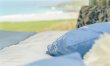 2 Bed in Fistral 8