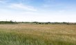 1 Bed in Eccles-on-Sea 6