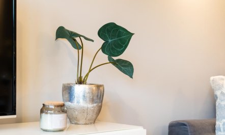 1 Bed in Watergate Bay 8