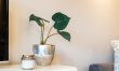1 Bed in Watergate Bay 8