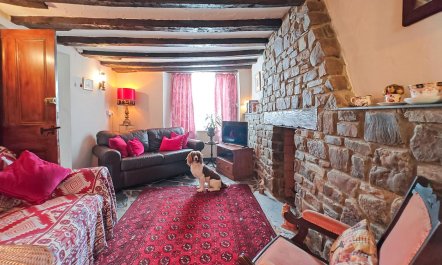 1 Bed in Appledore 7