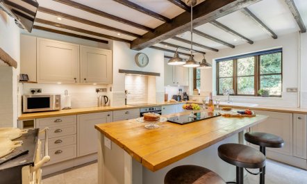 3 Bed in Combe St. Nicholas 2