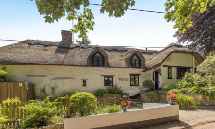 3 Bed in Combe St. Nicholas 6