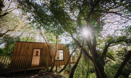 1 Bed in Mithian Downs 8