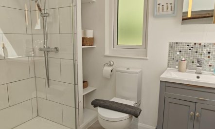 2 Bed in Swimbridge 4
