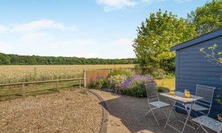 3 Bed in Briningham 4