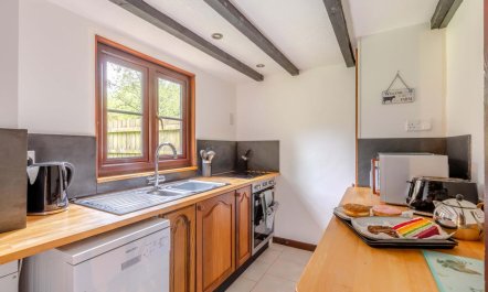 2 Bed in Winkleigh 4