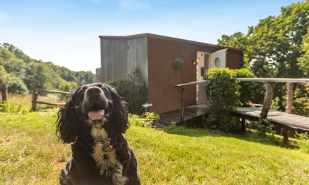1 Bed in Doddiscombsleigh 5