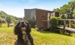 1 Bed in Doddiscombsleigh 5