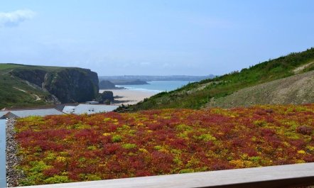 2 Bed in Watergate Bay 2