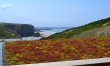 2 Bed in Watergate Bay 2