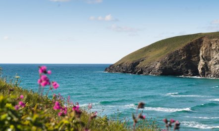 4 Bed in Mawgan Porth 3
