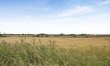 1 Bed in Eccles-on-Sea 5