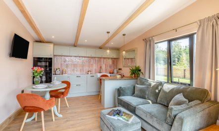 1 Bed in Ashford Bowdler 9