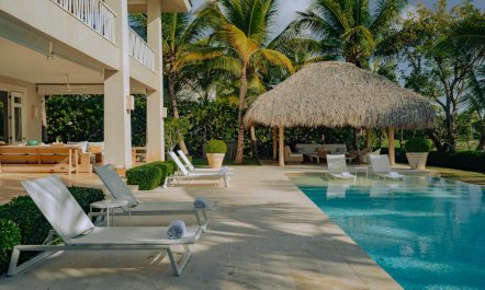 Palapa & Palm 3