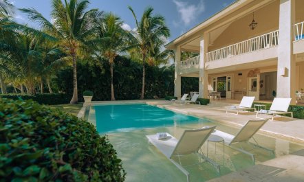 Palapa & Palm 2