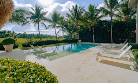 Palapa & Palm 4