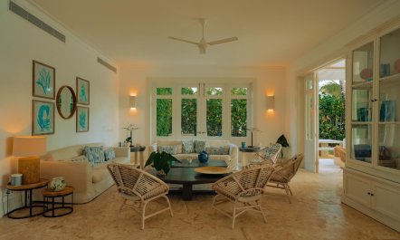 Palapa & Palm 1