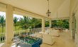 Palapa & Palm 8