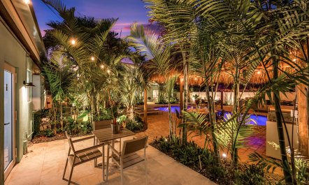 Palms Over Lauderdale 8