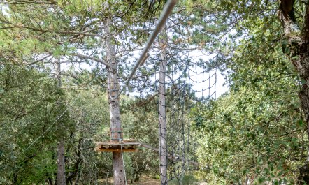 Treetop Provence 5