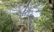 Treetop Provence 5